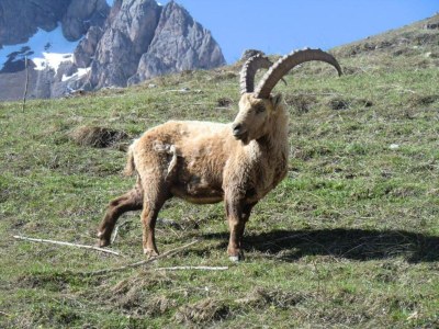 Holiday house Villa in Le Monêtier-les-Bains - Environment photo 26