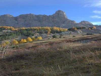 Holiday house Villa in Le Monêtier-les-Bains - Environment photo 34