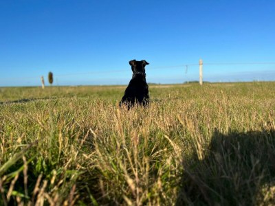 Holiday house Kamerstraat 66 - Environment photo 37