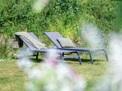 Holiday house Dennenbries - Outdoor photo 7