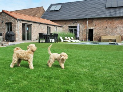 Holiday house Gemütliches Ferienhaus in Vlaanderen - Outdoor photo 7