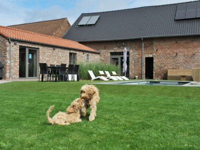 Holiday house Gemütliches Ferienhaus in Vlaanderen - Outdoor photo 8