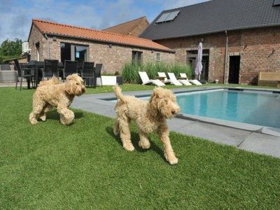 Holiday house Gemütliches Ferienhaus in Vlaanderen - Outdoor photo 9