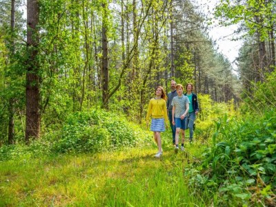 Holiday house Gemütliches Ferienhaus in Vlaanderen - Environment photo 29