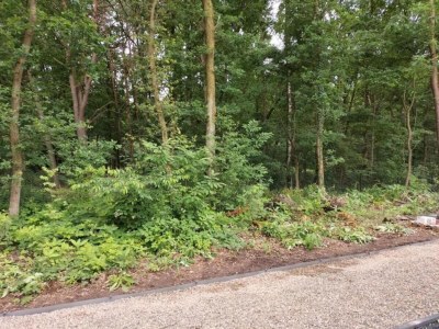 Holiday house Gemütliches Ferienhaus in Vlaanderen - Environment photo 31