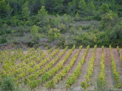 Holiday house Schönes Ferienhaus mit Kamin - Environment photo 50