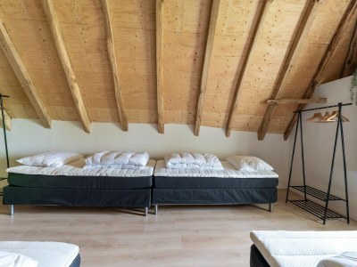 Holiday house Comfortable holiday home in Voorst with garden - Features photo 20