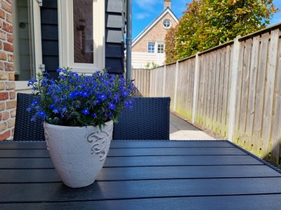 Holiday house DO36 Holiday Home with Dog Domburg - Outdoor photo 4