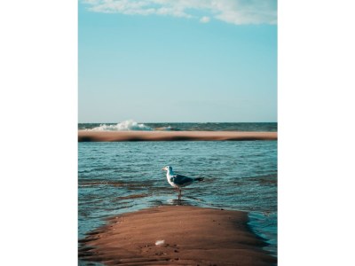 Holiday house OK29 Holiday Home 'Saar' Oostkapelle - Environment photo 17