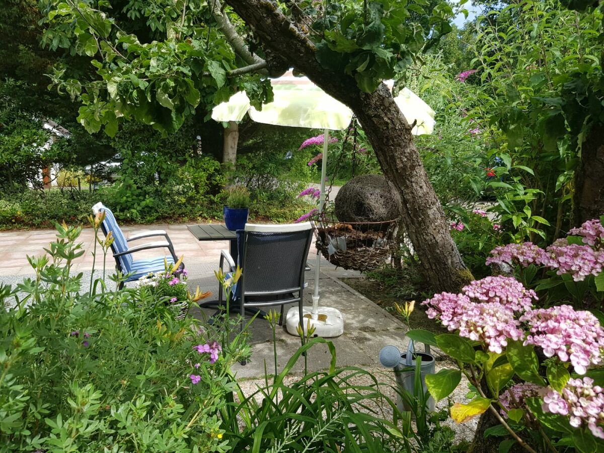 Holiday house OK36 Holiday Home with Dog Oostkapelle - Outdoor photo 5