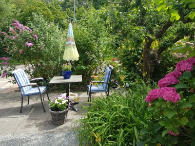 Holiday house OK36 Holiday Home with Dog Oostkapelle - Outdoor photo 2