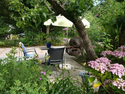 Holiday house OK36 Holiday Home with Dog Oostkapelle - Outdoor photo 5