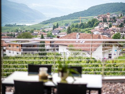 Apartment Müller Thurgau - Environment photo 10