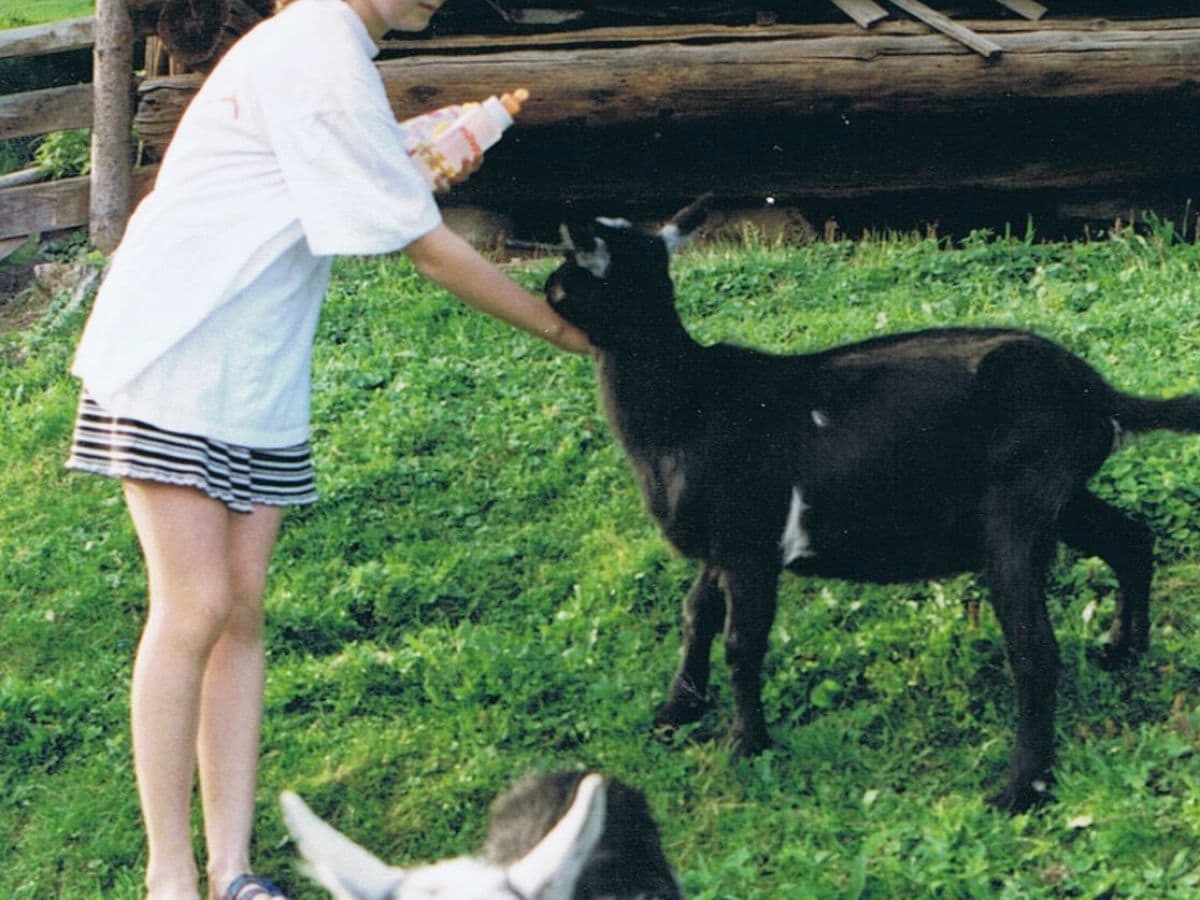 Holiday apartment Ebnerbauer Apartment 2 - Outdoor photo 4