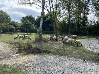 Holiday house Le Trou Normand - Outdoor photo 5