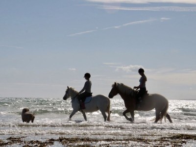 Holiday house Le Trou Normand - Environment photo 31