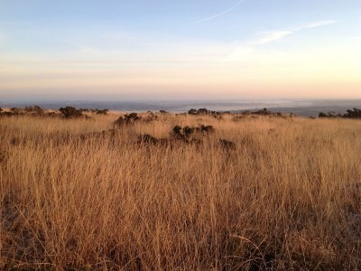 Holiday house Le Trou Normand - Environment photo 36
