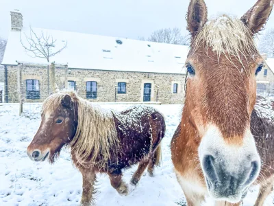 Holiday house Le Trou Normand - Environment photo 37