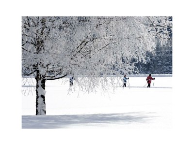 Apartment Ferienwohnung Talblick - Outdoor photo 7