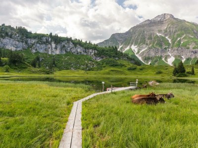 Apartment Typ 2 - Outdoor photo 21