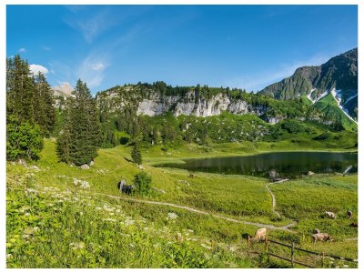 Apartment Typ 2 - Outdoor photo 23