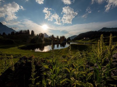 Apartment Typ 2 - Outdoor photo 64