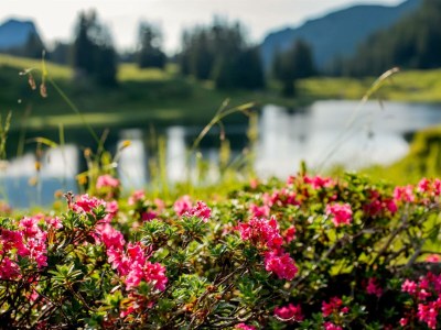 Apartment Typ 2 - Outdoor photo 65