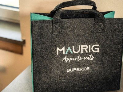 Apartment APPARTEMENT SUPERIOR 1 - Features photo 55