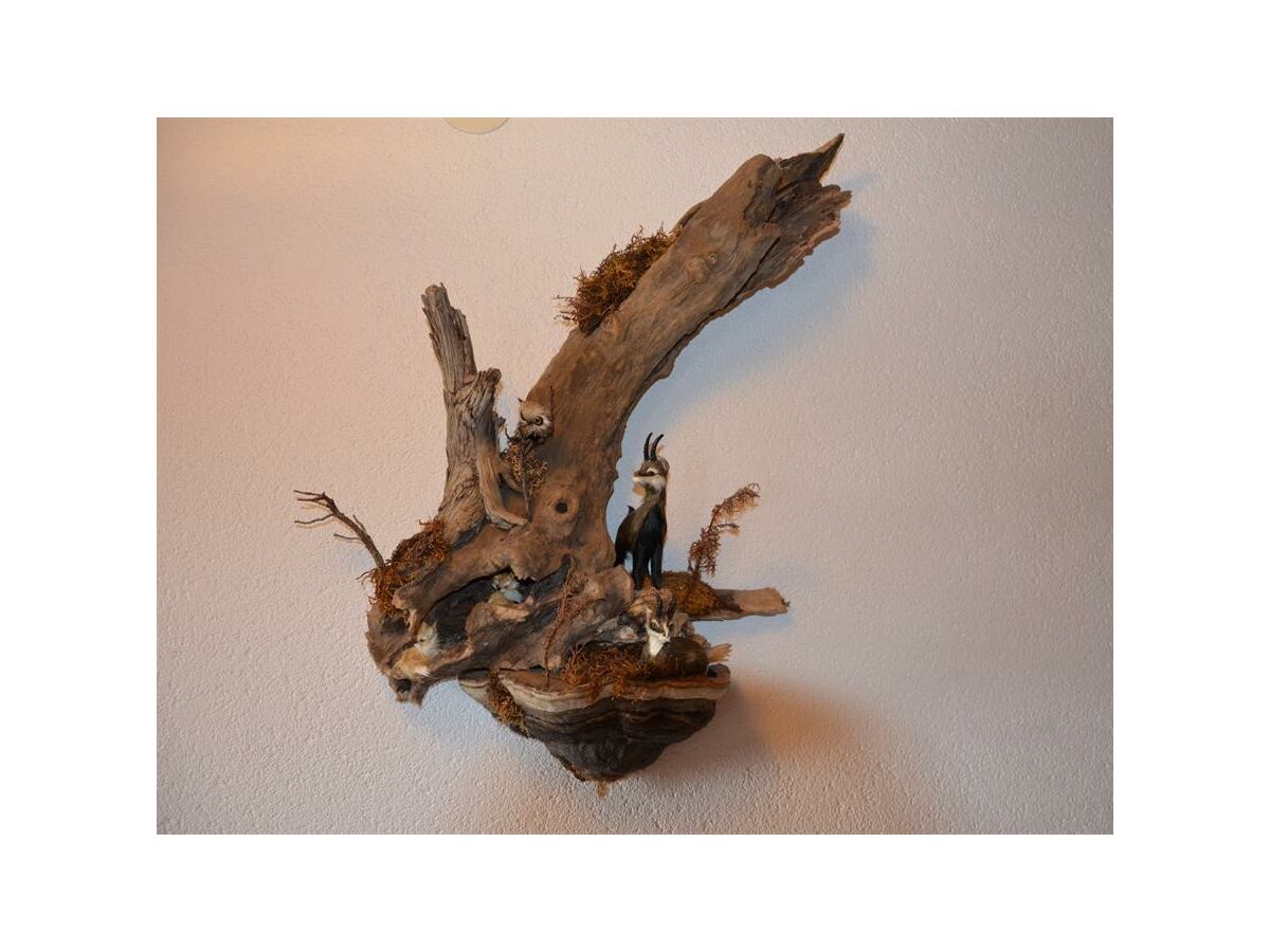 Apartment Ferienwohnung Reini Warth am Arlberg - Outdoor photo 5