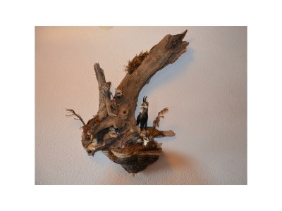 Apartment Ferienwohnung Reini Warth am Arlberg - Outdoor photo 5