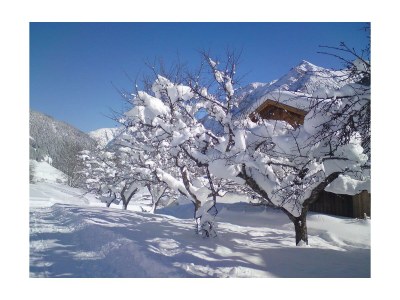 Holiday room Suite, Dusche, WC, Deluxe - Outdoor photo 52