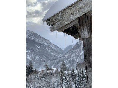 Apartment Alpsonne - Features photo 26