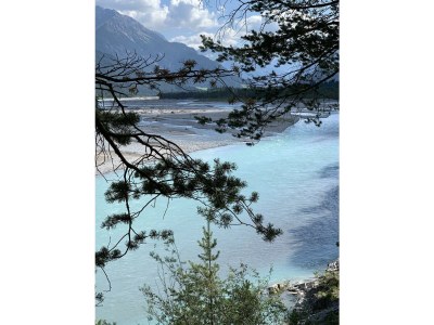 Apartment Alpsonne - Features photo 27