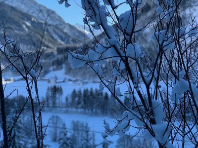 Apartment Alpherz - Features photo 25