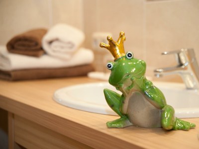 Apartment Wohnung Bellevue - Outdoor photo 15