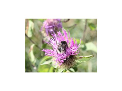 Apartment Wohnung Melodie De Luxe - Outdoor photo 9