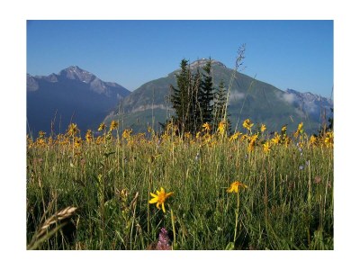 Apartment Appartement/Fewo - Outdoor photo 8