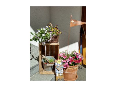 Apartment Appartement/Fewo - Outdoor photo 19