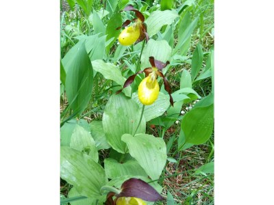 Apartment Molina - Outdoor photo 9