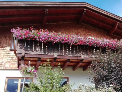 Apartment Molina - Outdoor photo 10