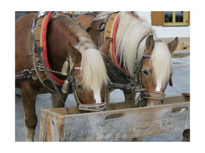 Holiday room Doppelzimmer in Elbigenalp - Holiday room