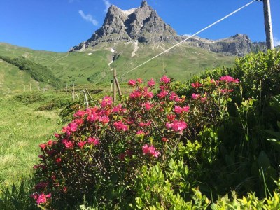 Apartment Hager - Outdoor photo 20