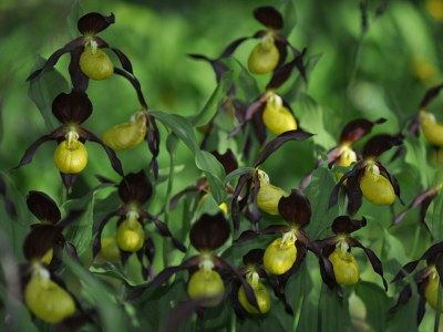 Apartment Hager - Outdoor photo 25