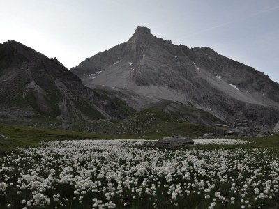 Apartment Hager - Outdoor photo 26