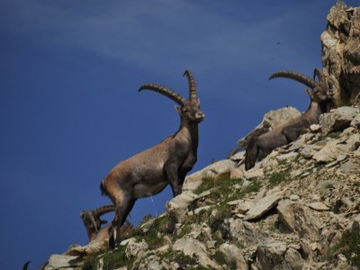 Apartment Hager - Outdoor photo 28