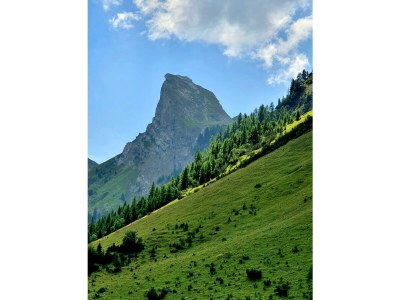 Apartment Appartement/Fewo - Outdoor photo 35