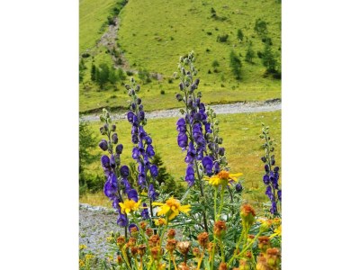 Apartment Appartement/Fewo - Outdoor photo 56