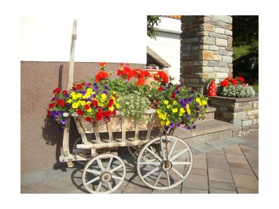 Apartment Ferienwohnung Nelly - Outdoor photo 11