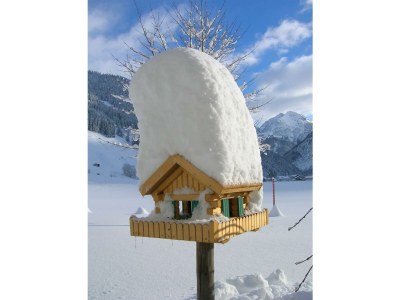 Apartment Ferienwohnung Nelly - Outdoor photo 24