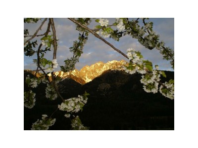 Apartment Appartement 1 - Outdoor photo 9